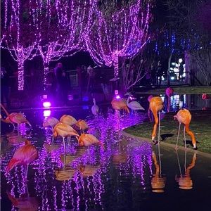 Meet your Posher, Jamye